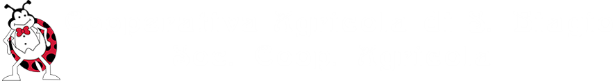 Coop San Biagio