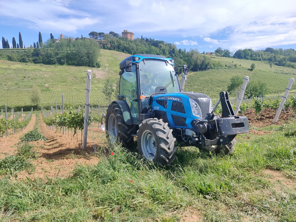 Vigneto e frutteto